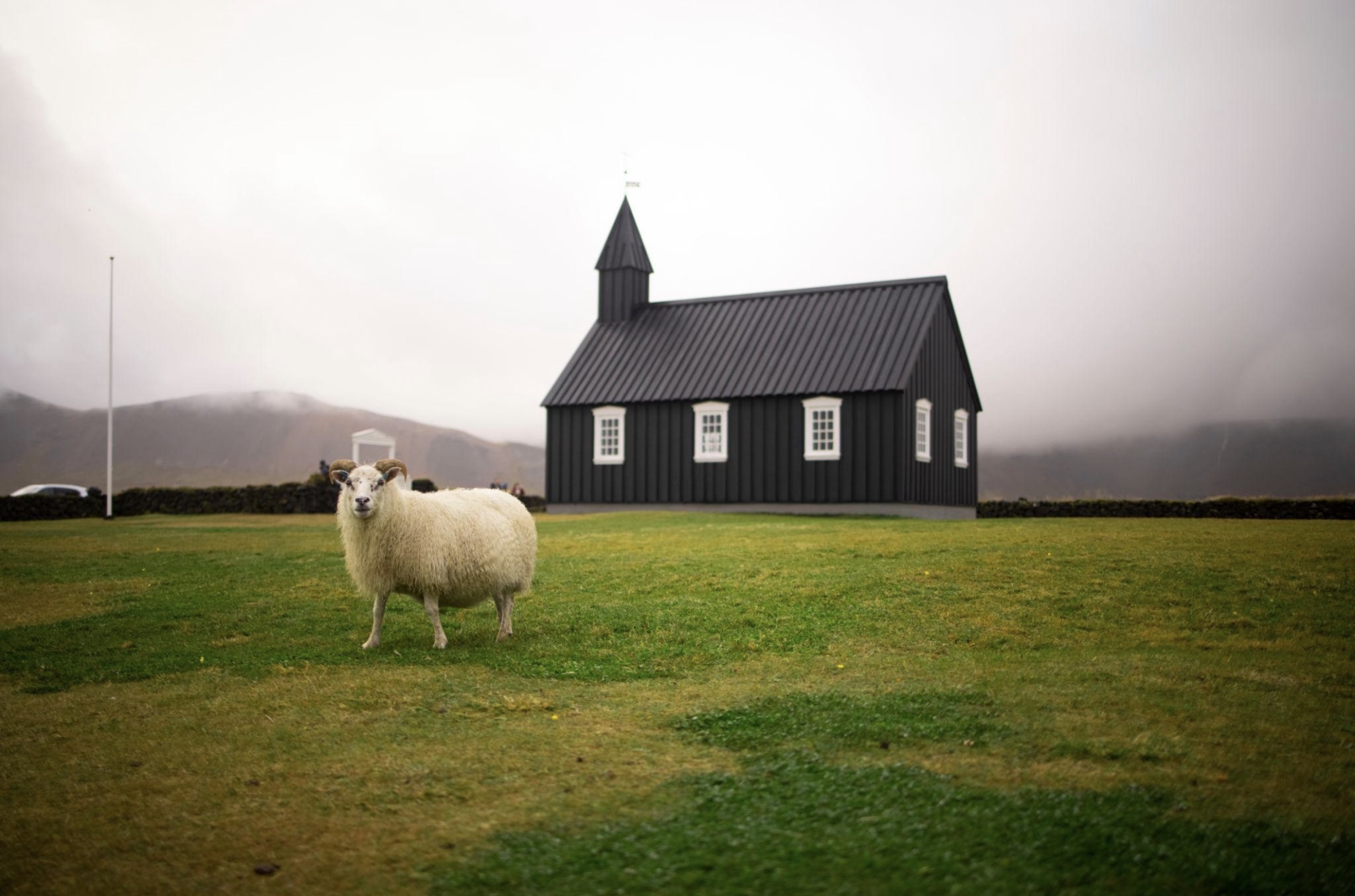 In losing your shepherd, what have you lost?